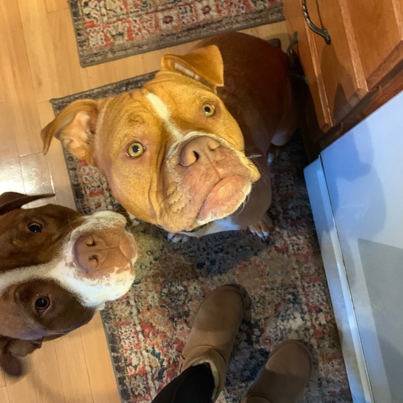 Meet your Posher, Loesha - Picture 5 of 10